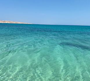 Schnorcheln Makadi Bay