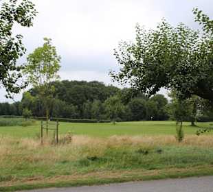 Teilweise hohes Rough 