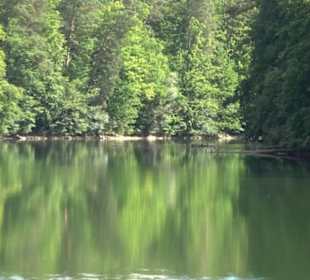 Neuer See