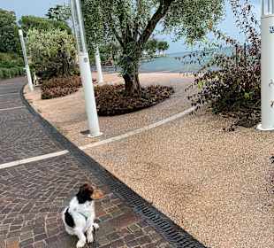 Seepromenade