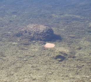 Unterwegs auf den Wanderwegen