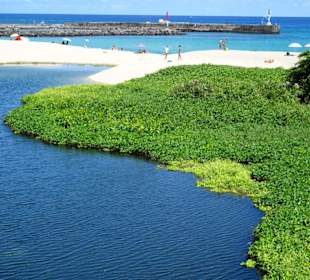 Strandimpressionen an der Plage des Roches Noires