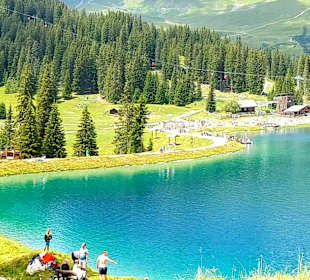Högsee