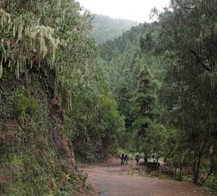 Wunderschöne Wanderung durch Orotava-Tal