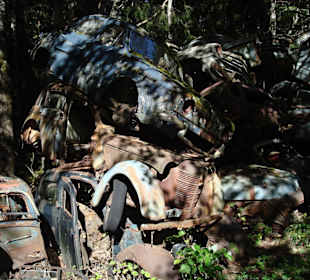 Autofriedhof am Foxen