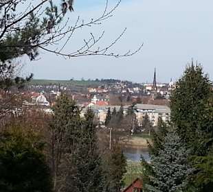 Blick vom Tierpark nachMeißen