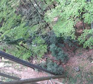 Blick vom Pfad nach unten