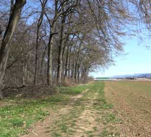 Besinnungsweg Weit-Blick