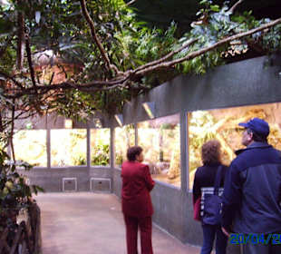 im Tropicarium