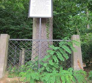Auf dem Weg zur Walddusche