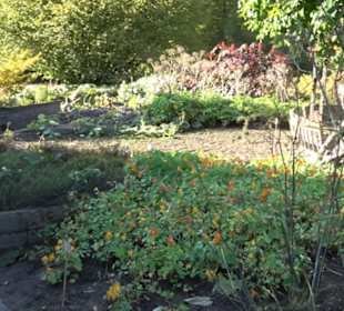 Botanischer Garten