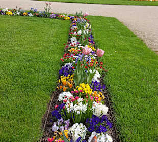 Frühlingsbepflanzung