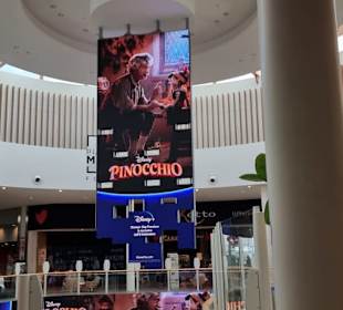 Gute Lichtverhältnisse