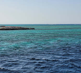 Ein Tag auf der Dreamlife - Delphintour Exklusiv