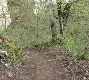 Wanderung rund um das Rusenschloss Gerhausen