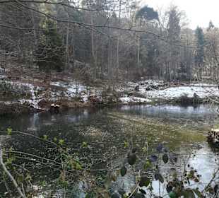 Zugefrorener Weiher