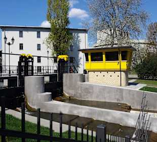 Stare Miasto