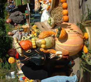 Kürbisausstellung