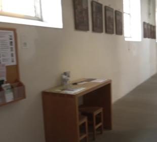 St. Anna-Münster Altheim