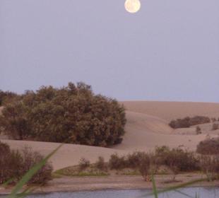 Mond über den Dünen
