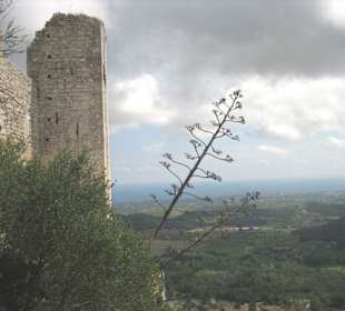 Castell de Santueri 