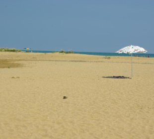 Strand von Bibione 06-2010