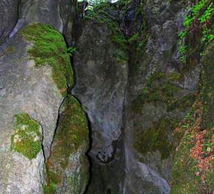Wanderung zum Bärenfels