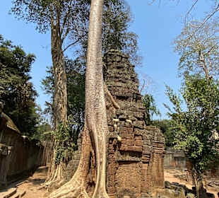 Ta Prohm