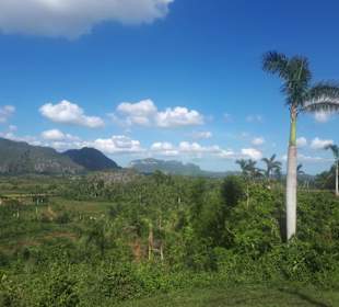 Blick auf das Tal Vinales