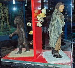 Technik - Museum - ELDER