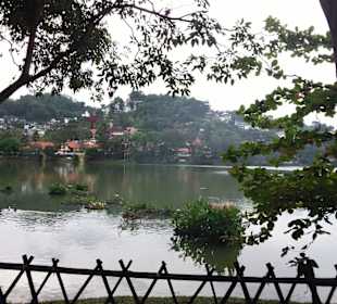 Geführte Touren Your Tour Sri Lanka