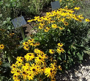 Klosterkirche Maria Gnadenzell