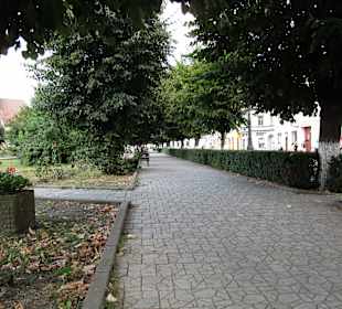 Altstadt Mediaş
