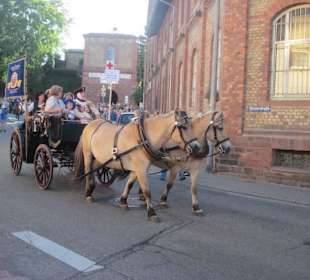 Festungsfest Germersheim Umzug