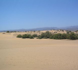Dünen in Maspalomas bei Meloneras