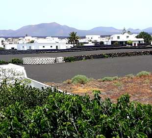 Inselrundfahrt AIDA Tagestour