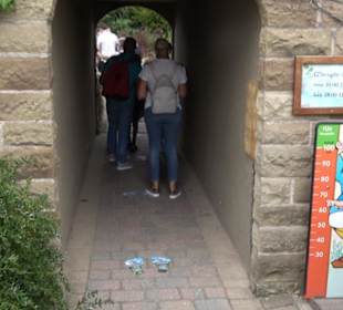 Erlebnispark Tripsdrill