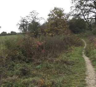 Naturschutzgebiet Listhof