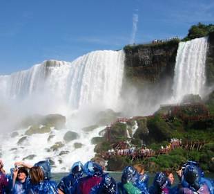 Die amerikanischen Fälle