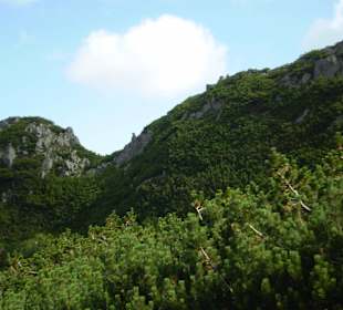 Tatrzański Park Narodowy