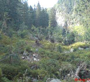 Wanderung Spindlermühle - Elbquelle und zurück