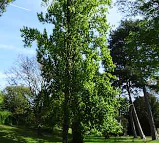 Garten Hohenheim