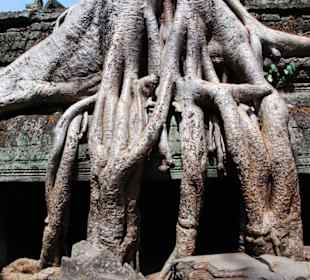 Ta phrom