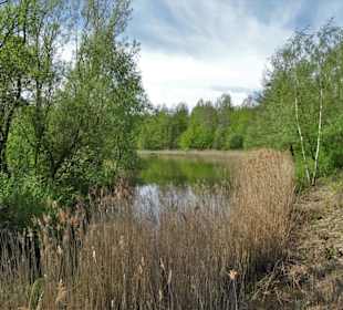 Spaziergang durch den Walter-Peters-Park
