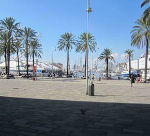 Вид на порт