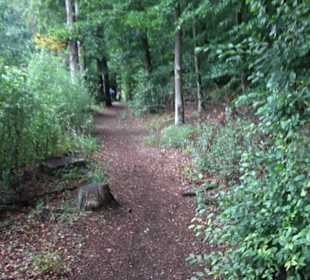 Museum Römer und Bajuwaren