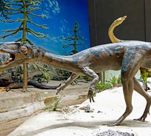 Dinossaurier im Schwabenland