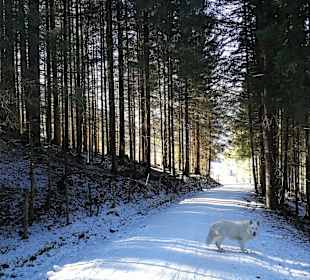 Wandern Bad Kleinkirchheim