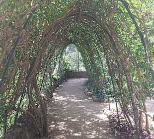 Stadtrundgang Pineda de Mar