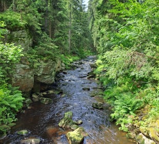 Schwarzwassertal